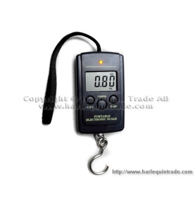 Digital hanging scale