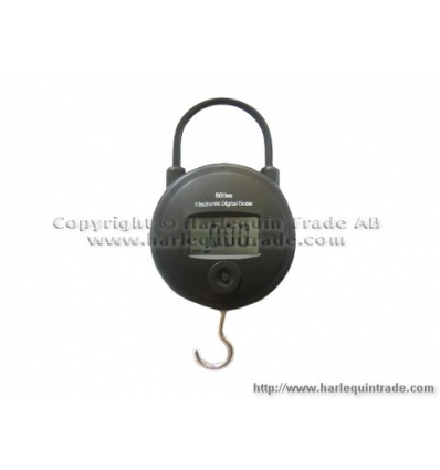 Digital hanging scale