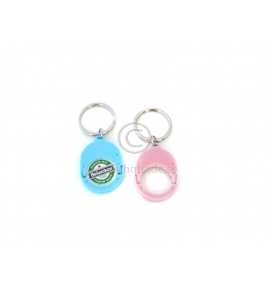 Keychain for coin