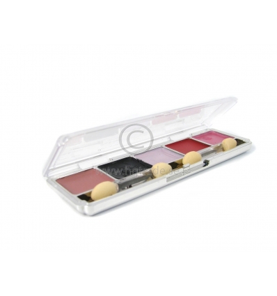 Lipgloss in plastic case