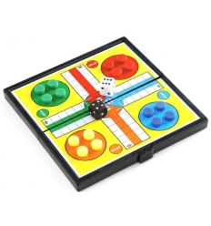 Ludo game, magnetic