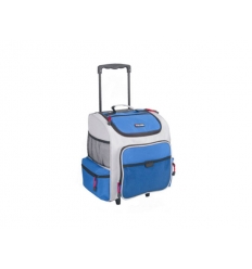 Travel cooler bag