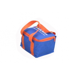 Cooler bag