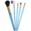 Cosmetic brush set