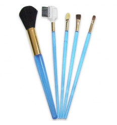 Cosmetic brush set