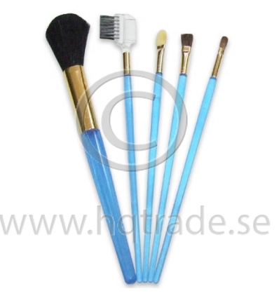 Cosmetic brush set