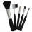 Cosmetic brush set