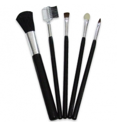 Cosmetic brush set