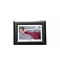 Digital photoframe - 13.3 inch