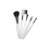 Cosmetic brush set