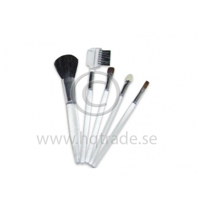 Cosmetic brush set