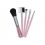 Cosmetic brush set