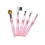 Cosmetic brush set