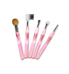 Cosmetic brush set