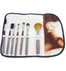 Cosmetic brush set