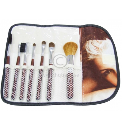 Cosmetic brush set