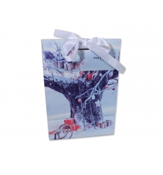 Gift bag