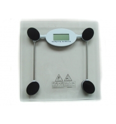 Bathroom scale