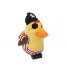 Pirate Duck