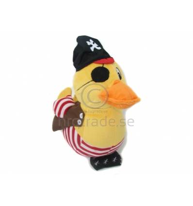 Pirate Duck