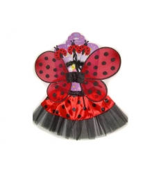 Ladybug set