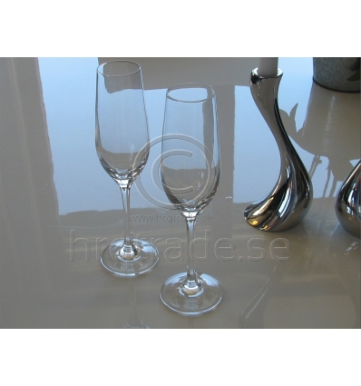 Champagne glass with print