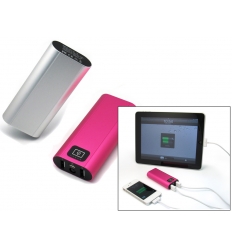 Mobile Power Bank and Torch