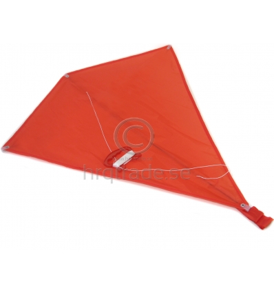 Kite with logo print