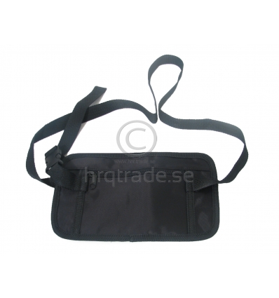 Travel waist pouch