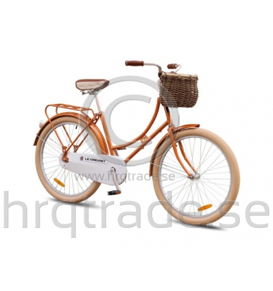 Bicycle with print