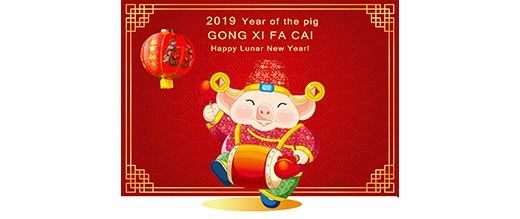 Gott nytt år - Kinesiskt nyår 2019 - Grisens år